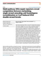 Multi-pathway DNA-repair reporters reveal competition between end-joining, single-strand annealing and homologous recombination at Cas9-induced DNA double-strand breaks