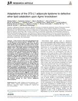 Adaptations of the 3T3-L1 adipocyte lipidome to defective ether lipid catabolism upon Agmo knockdown