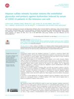 Heparan sulfate mimetic fucoidan restores the endothelial glycocalyx and protects against dysfunction induced by serum of COVID-19 patients in the intensive care unit