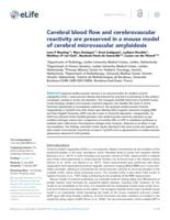 Cerebral blood flow and cerebrovascular reactivity are preserved in a mouse model of cerebral microvascular amyloidosis