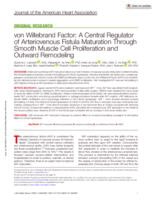 von Willebrand factor