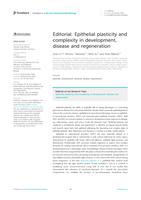 Epithelial plasticity and complexity in development, disease and regeneration