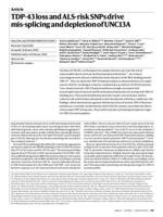 TDP-43 loss and ALS-risk SNPs drive mis-splicing and depletion of UNC13A