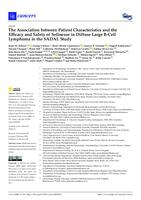 The association between patient characteristics and the efficacy and safety of selinexor in diffuse large B-cell lymphoma in the SADAL study