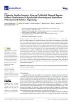 Cigarette smoke impairs airway epithelial wound repair