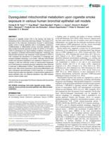 Dysregulated mitochondrial metabolism upon cigarette smoke exposure in various human bronchial epithelial cell models