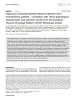 Expression of phosphorylated ribosomal protein S6 in mesothelioma patients-correlation with clinico-pathological characteristics and outcome