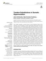 Tandem substitutions in somatic hypermutation