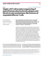 Single-cell T cell receptor sequencing of paired human atherosclerotic plaques and blood reveals autoimmune-like features of expanded effector T cells