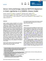 Active immunotherapy reduces NOTCH3 deposition in brain capillaries in a CADASIL mouse model