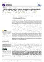 Visualization of murine vascular remodeling and blood flow dynamics by ultra-high-frequency ultrasound imaging