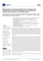 Intraoperative near-infrared fluorescence imaging with Indocyanine green for identification of gastrointestinal stromal Tumors (GISTs), a feasibility study