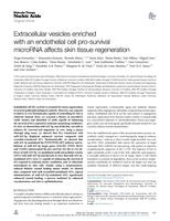 Extracellular vesicles enriched with an endothelial cell pro-survival microRNA affects skin tissue regeneration