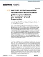 Metabolic profile in endothelial cells of chronic thromboembolic pulmonary hypertension and pulmonary arterial hypertension