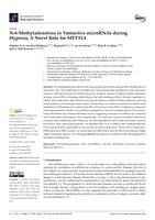 N-6-methyladenosine in vasoactive microRNAs during hypoxia