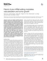 Filamin A pre-mRNA editing modulates vascularization and tumor growth