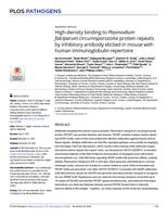 High-density binding to plasmodium falciparum circumsporozoite protein repeats by inhibitory antibody elicited in mouse with human immunoglobulin repertoire