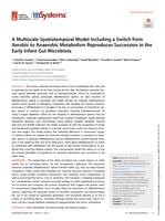 A multiscale spatiotemporal model including a switch from aerobic to anaerobic metabolism reproduces succession in the early infant gut microbiota