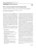 Micro- to macroscale magnetic resonance imaging of glioma