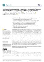 Prevalence of monosodium urate (MSU) deposits in cadavers detected by dual-energy computed tomography (DECT)