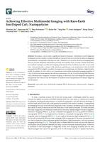 Achieving effective multimodal imaging with rare-earth ion-doped CaF2 nanoparticles