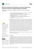 Bacterial cellulose as drug delivery system for optimizing release of immune checkpoint blocking antibodies