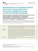 Detailed behaviour of endothelial wall shear stress across coronary lesions from non-invasive imaging with coronary computed tomography angiography