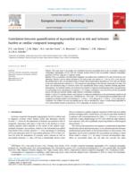 Correlation between quantification of myocardial area at risk and ischemic burden at cardiac computed tomography