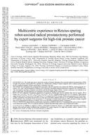 Multicentric experience in Retzius-sparing robot-assisted radical prostatectomy performed by expert surgeons for high-risk prostate cancer