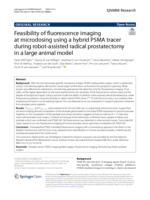 Feasibility of fluorescence imaging at microdosing using a hybrid PSMA tracer during robot-assisted radical prostatectomy in a large animal model