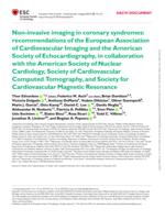 Non-invasive imaging in coronary syndromes