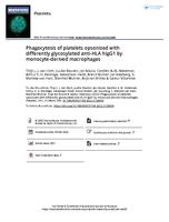 Phagocytosis of platelets opsonized with differently glycosylated anti-HLA hIgG1 by monocyte-derived macrophages
