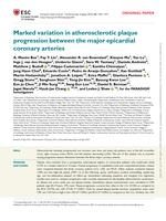 Marked variation in atherosclerotic plaque progression between the major epicardial coronary arteries