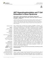 AKT hyperphosphorylation and T Cell exhaustion in Down Syndrome