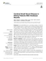 Cerebral small vessel disease in elderly patients with vestibular neuritis