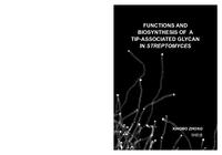 Functions and biosynthesis of a tip-associated glycan in Streptomyces