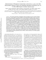 Characterization of pheophytin ground states in Rhodobacter sphaeroides R26 photosynthetic reaction centers from multispin pheophytin enrichment and 2-D 13C MAS NMR dipolar correlation spectroscopy