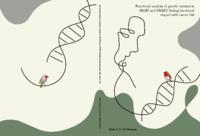 Functional analysis of genetic variants in PALB2 and CHEK2