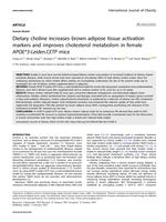 Dietary choline increases brown adipose tissue activation markers and improves cholesterol metabolism in female APOE*3-Leiden.CETP mice