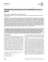 Multiplexing mechanical and translational cues on genes