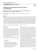 Revealing charge heterogeneity of stressed trastuzumab at the subunit level