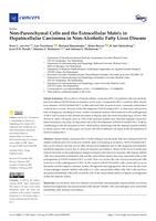 Non-parenchymal cells and the extracellular matrix in hepatocellular carcinoma in non-alcoholic fatty liver disease