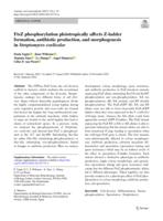 FtsZ phosphorylation pleiotropically affects Z-ladder formation, antibiotic production, and morphogenesis in Streptomyces coelicolor