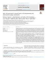 Mast cells participate in smooth muscle cell reprogramming and atherosclerotic plaque calcification