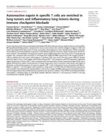 Autoreactive napsin A-specific T cells are enriched in lung tumors and inflammatory lung lesions during immune checkpoint blockade