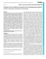 Ubiquitin and its relatives as wizards of the endolysosomal system