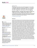 Probing microstructural changes in muscles of leptin-deficient zebrafish by non-invasive ex-vivo magnetic resonance microimaging