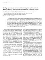 Cloning, sequencing and expression studies of the genes encoding amicyanin and the beta-subunit of methylamine dehydrogenase from thiobacillus-versutus