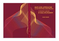 Multi-level approaches for the proteoform characterization of therapeutic antibodies by mass spectrometry
