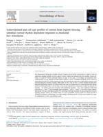 Transcriptional and cell type profiles of cortical brain regions showing ultradian cortisol rhythm dependent responses to emotional face stimulation